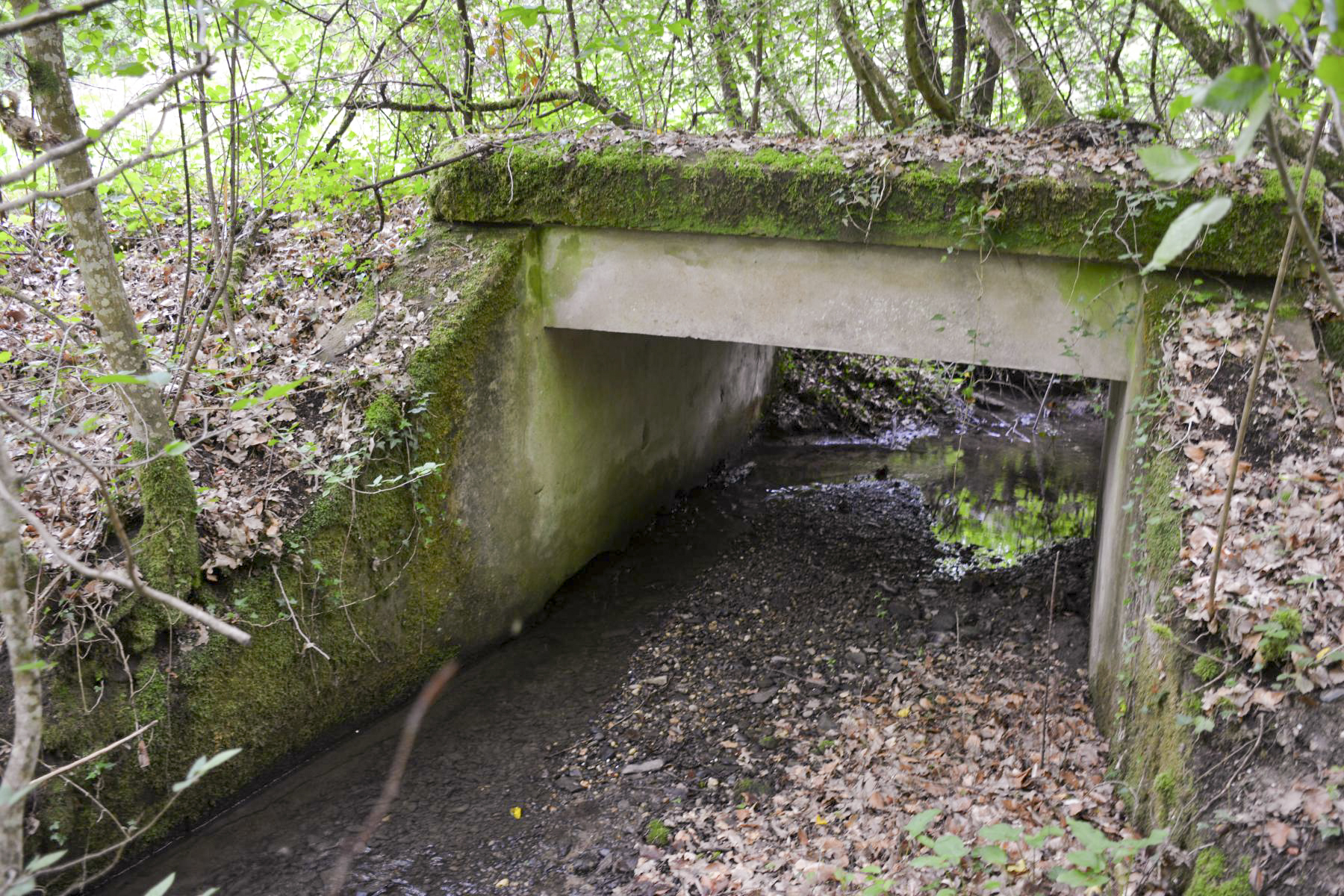 Ligne Maginot - VF60 - ANTENNE DE L'OUVRAGE DU HOCHWALD - (RESEAU - Voie 60 - Antenne ou rocade ferroviaire) - 8 - PONT SUR LE GEFAELLBAECHEL 3 - Pascal Lambert