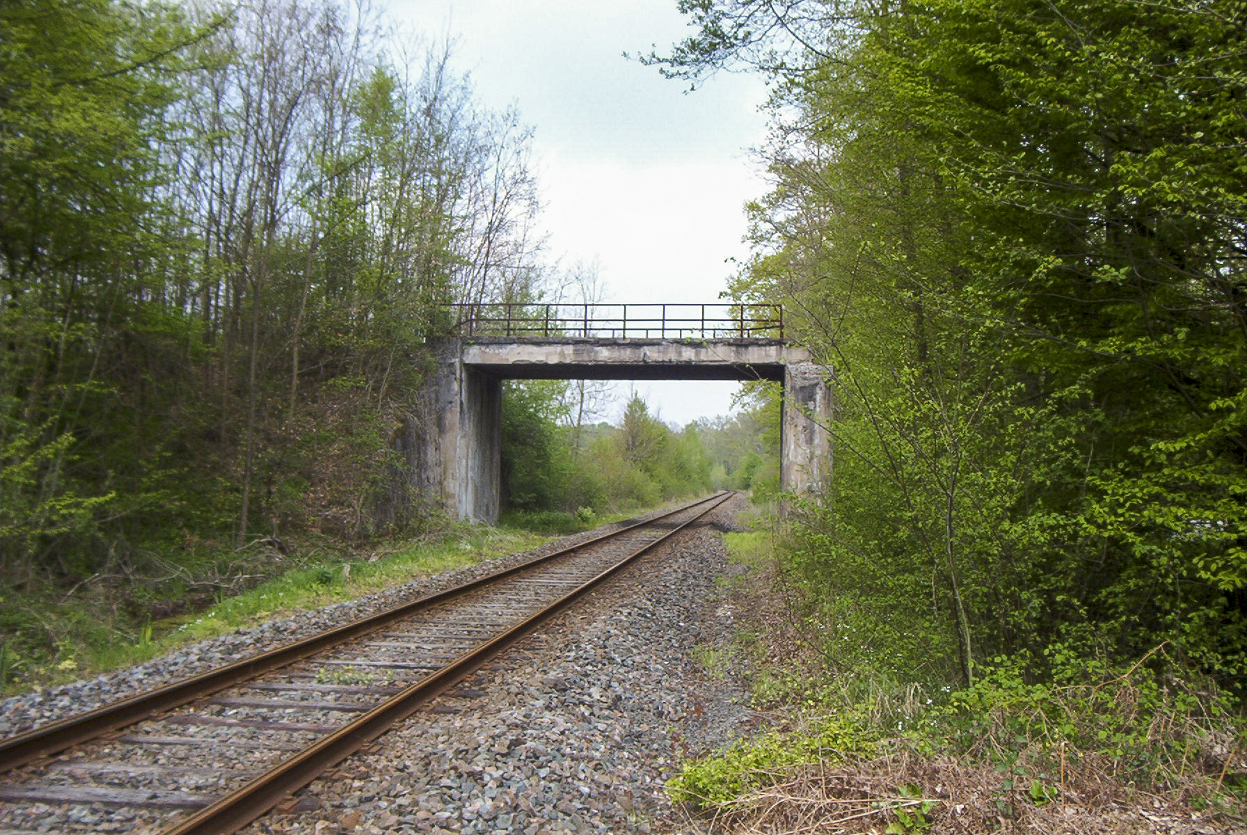 Ligne Maginot - VF60 - ANTENNE DE L'OUVRAGE DU HOCHWALD - (RESEAU - Voie 60 - Antenne ou rocade ferroviaire) - 3 - PS ROUTE VF NEUBOURG
Le passage sur la VF encore en place après 2010 - Grami