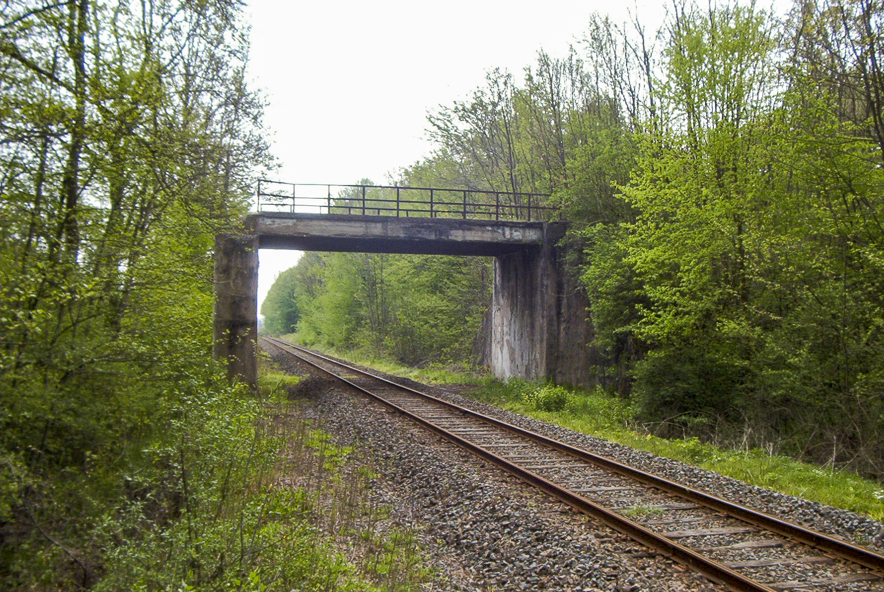 Ligne Maginot - VF60 - ANTENNE DE L'OUVRAGE DU HOCHWALD - (RESEAU - Voie 60 - Antenne ou rocade ferroviaire) - 3 - PS ROUTE VF NEUBOURG
Le passage sur la VF encore en place après 2010
La partie route a été détruite lors du recalibrate de la chaussée - Grami