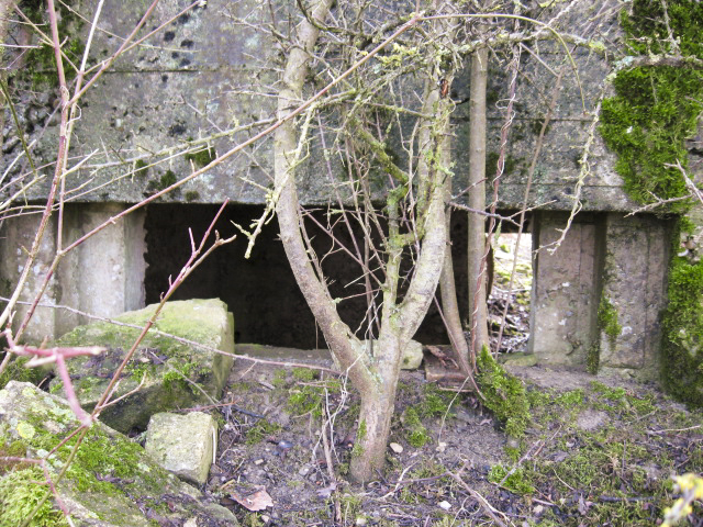 Ligne Maginot - SALWALD 5 - (Blockhaus pour arme infanterie) - Créneau mitrailleuse - Christian LENHARD