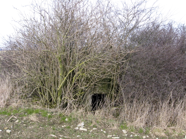 Ligne Maginot - SALWALD 5 - (Blockhaus pour arme infanterie) - Façade arrière - Christian LENHARD