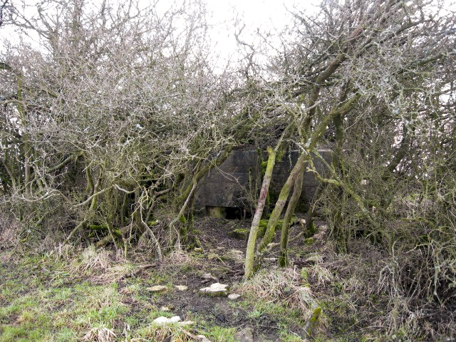 Ligne Maginot - SALWALD 4 - (Blockhaus pour canon) - Vue générale - Christian LENHARD