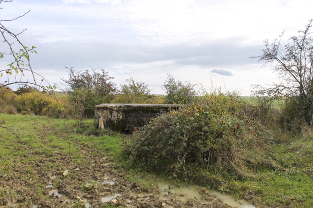 Ligne Maginot - SCHITTEFELD 1 - (Blockhaus pour arme infanterie) - Vue générale - Christian LENHARD