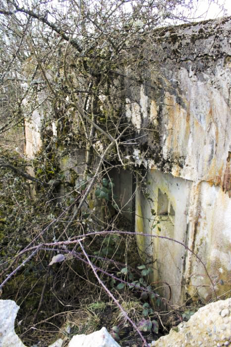 Ligne Maginot - SCHITTEFELD 1 - (Blockhaus pour arme infanterie) - Façade arrière - Christian LENHARD