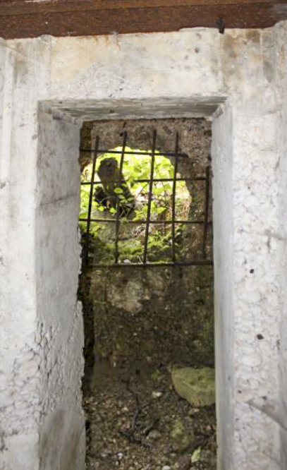 Ligne Maginot - SCHITTEFELD 1 - (Blockhaus pour arme infanterie) - L'entrée de la chambre de tir
Impact d'obus dans le sas - Christian LENHARD