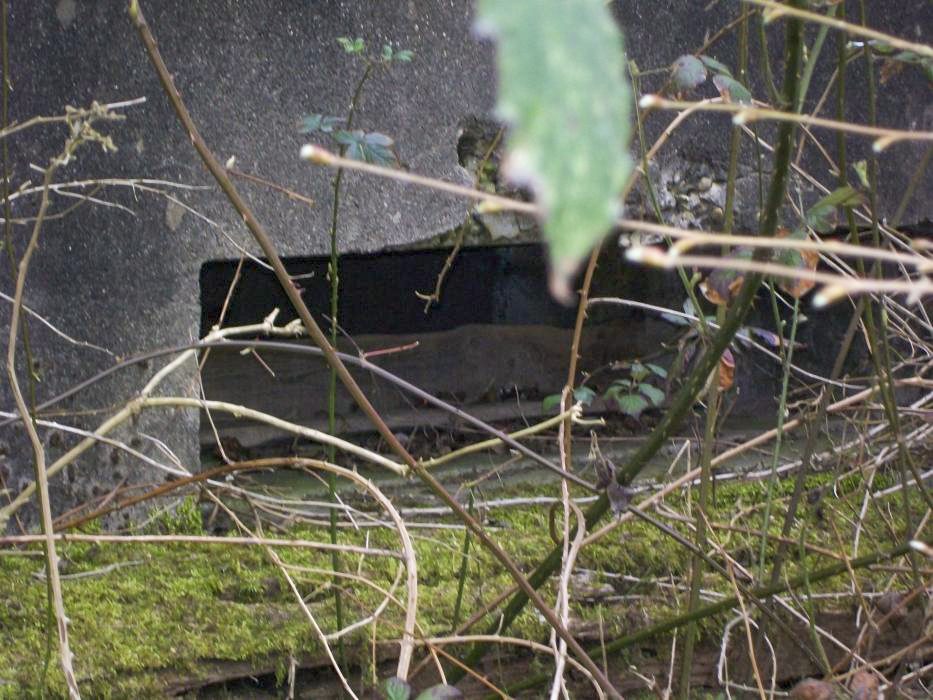 Ligne Maginot - CB111 - OBER INKEL - (Blockhaus pour canon) -  - KOLSCH Fred