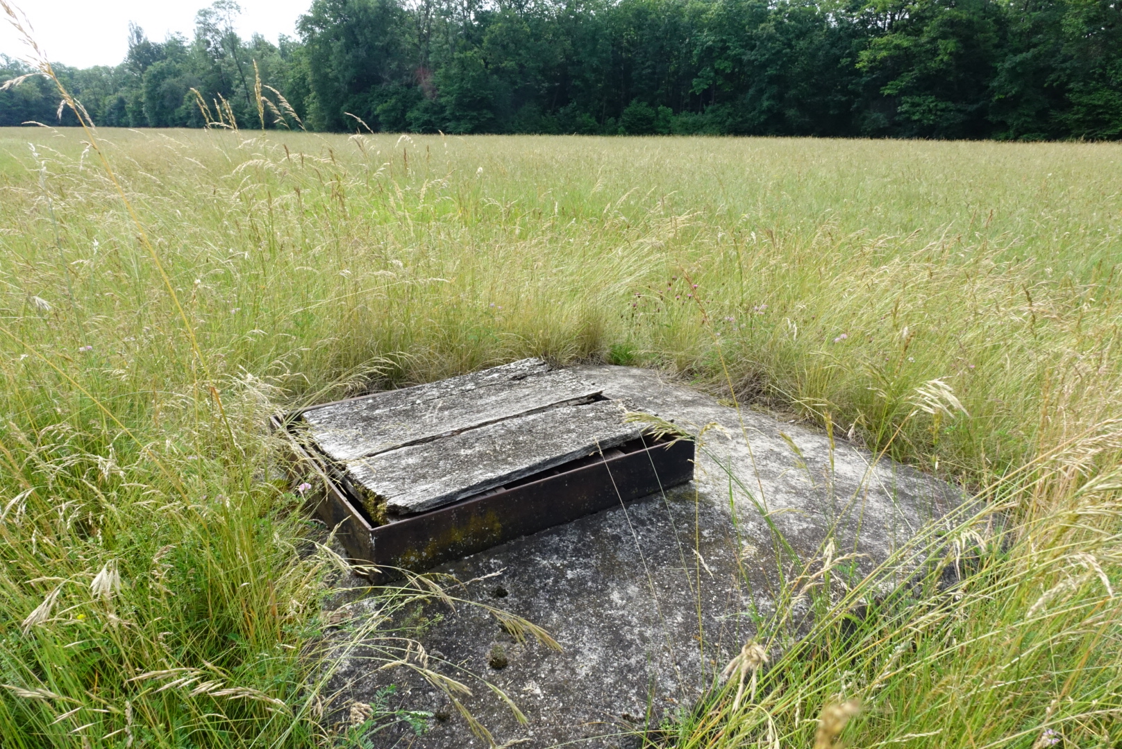 Ligne Maginot - I2 - (Chambre de coupure) -  - Lia VERMEULEN