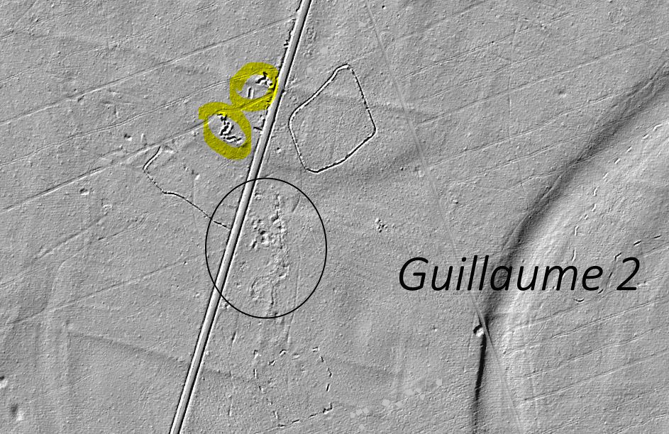 Ligne Maginot - GUILLAUME 2 - (Position d'artillerie préparée) - Vue LIDAR de la zone de la position de rechange de GUILLAUME. Des traces existent aussi de l'autre côté de la piste. - datalsace.eu