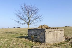 Ligne Maginot - STAND de TIR Est (Blockhaus pour arme infanterie) - Façade de tir
Au fond a gauche, une ligne de cinq blockhaus