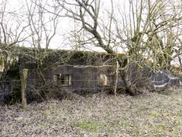 Ligne Maginot - HAMMELSWIESE  8 - (Blockhaus pour canon) - Mur d'aile
Deux faux créneaux
