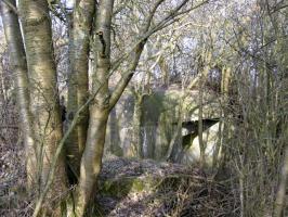 Ligne Maginot - HAMMELSWIESE 9 - (Blockhaus pour canon) - Vue générale