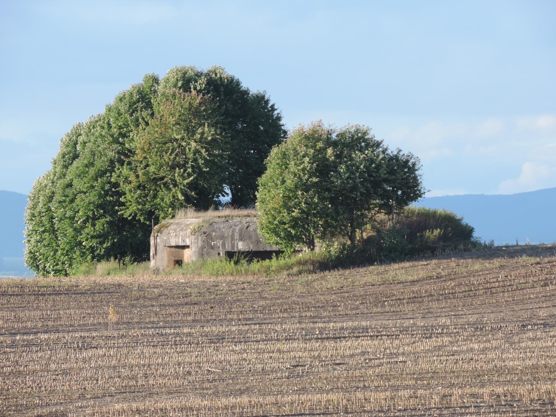 Ligne Maginot - ASCHBACH EST - O2 - (Casemate d'infanterie - double) - La casemate Aschbach Est - Gilles LENHARD