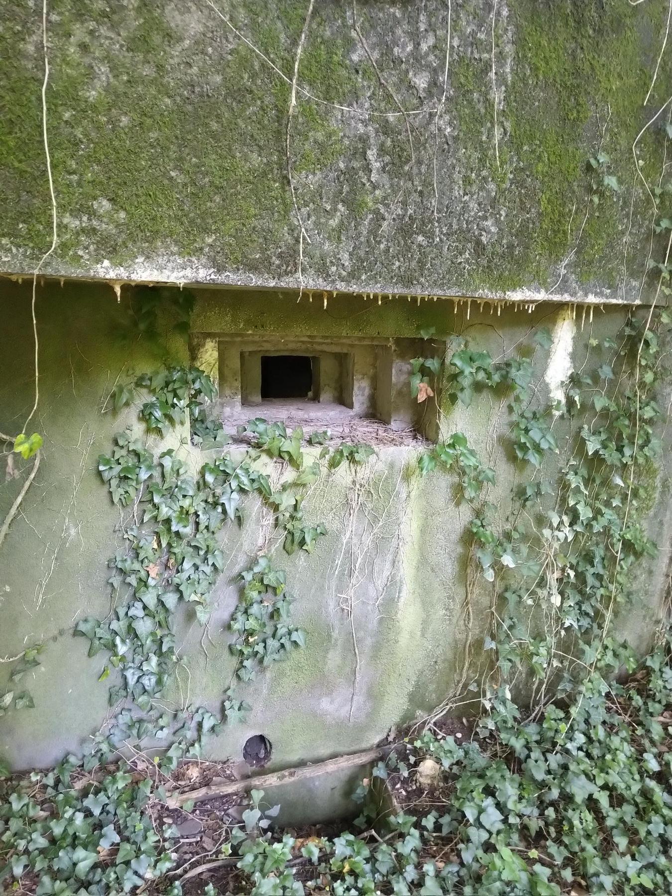 Ligne Maginot - SCHIRRHEINERWEG EST - (Casemate d'infanterie) -  - Mathis