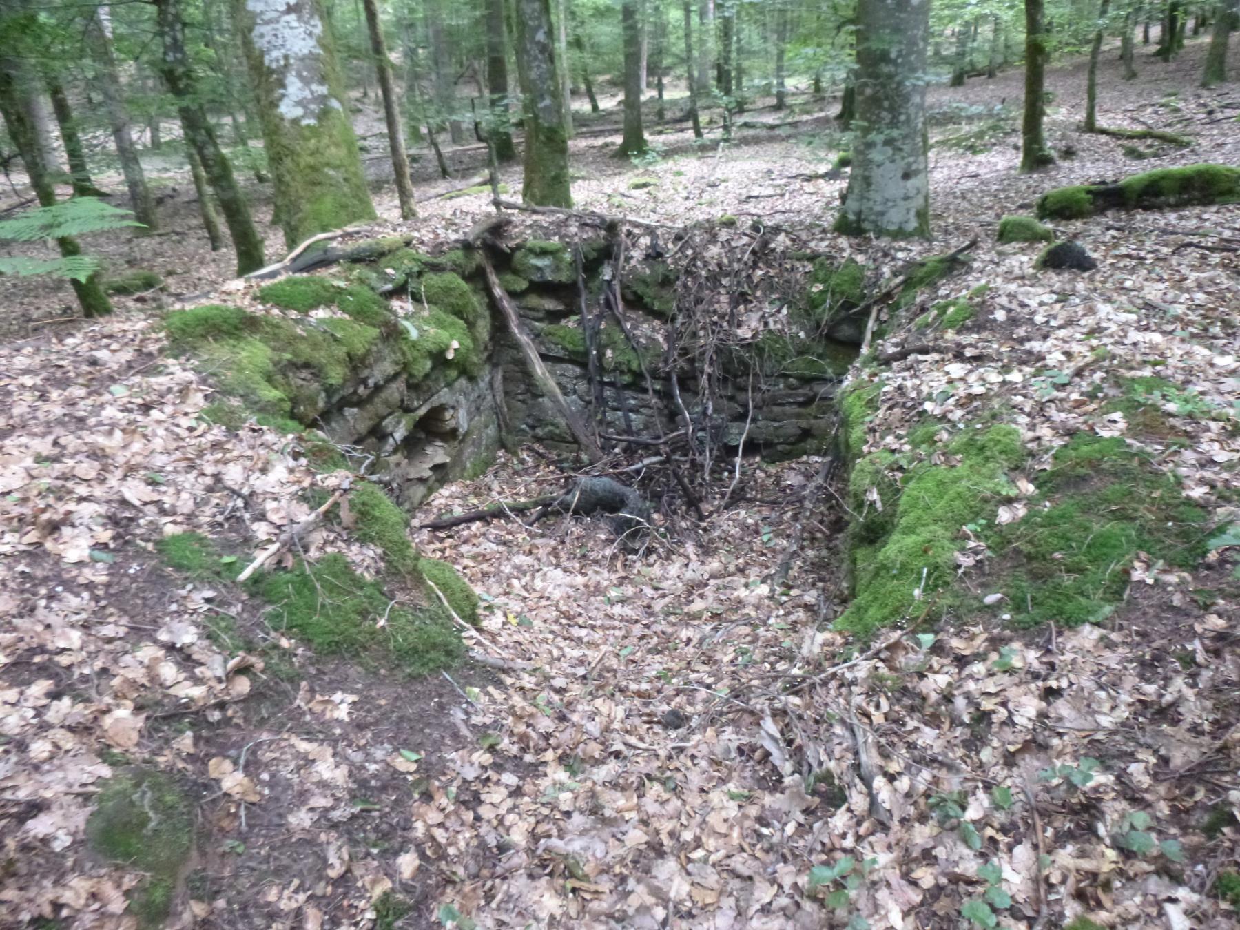 Ligne Maginot - ROTHENBOURG 2 - (Cuve pour arme d'infanterie) -  - luc