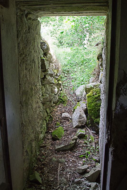Ligne Maginot - AMODON - (Observatoire d'infanterie) - L'entrée et le rocaillage protégeant l'accès - Michel Teiten