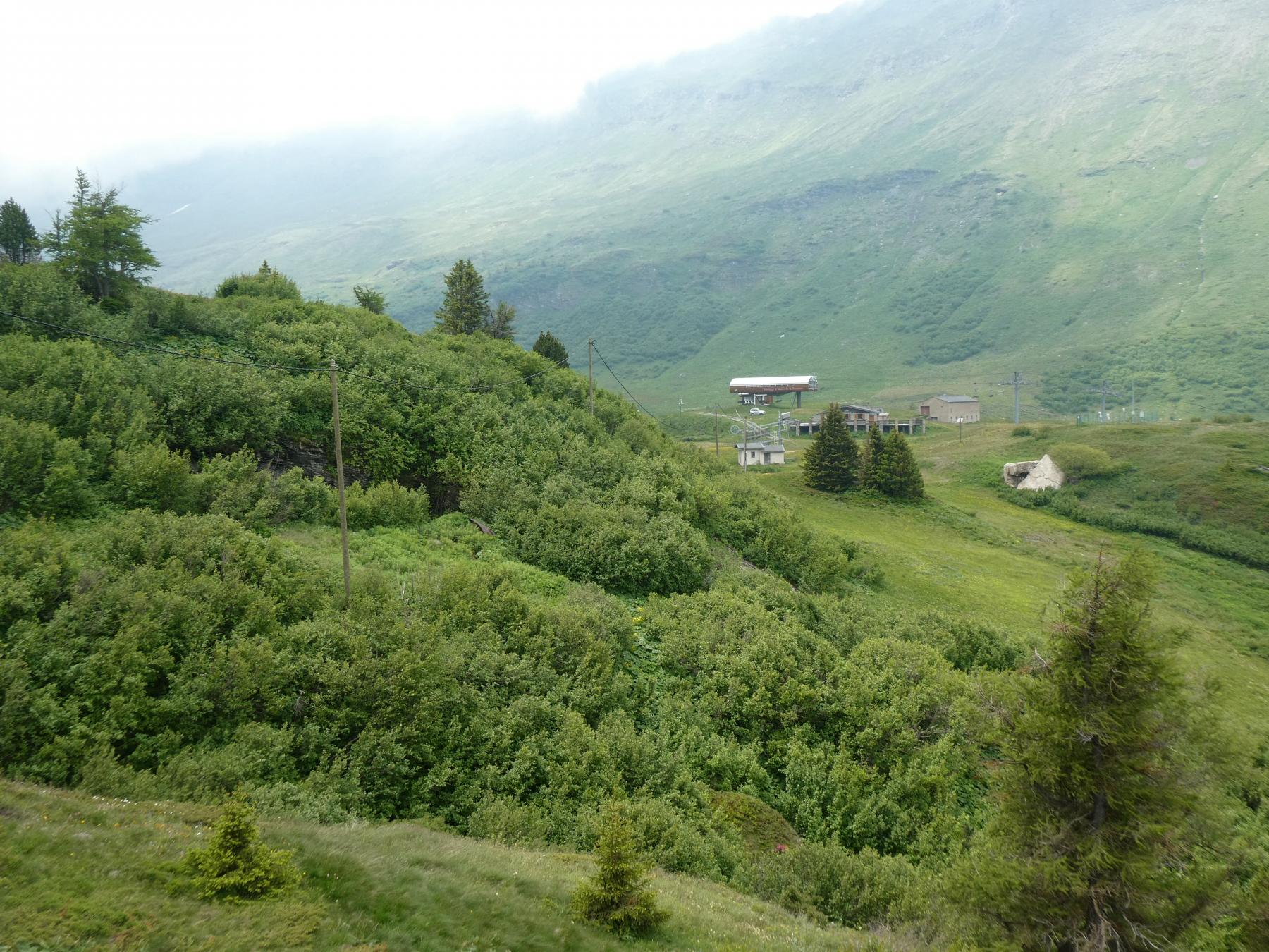 Ligne Maginot - LE MOLLARD - (Abri) -  - ELLENA - CUNY