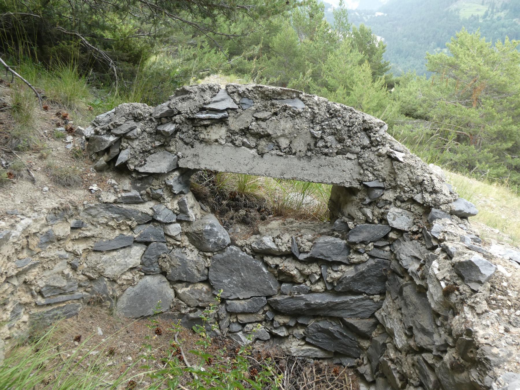 Ligne Maginot - COTE 1408 - (Blockhaus pour arme infanterie) -  - ELLENA - CUNY