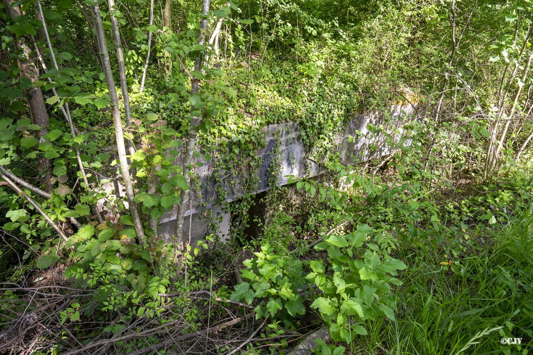 Ligne Maginot - DAUBENSAND 3 - (Blockhaus pour arme infanterie) - L'entrée - Lia VERMEULEN