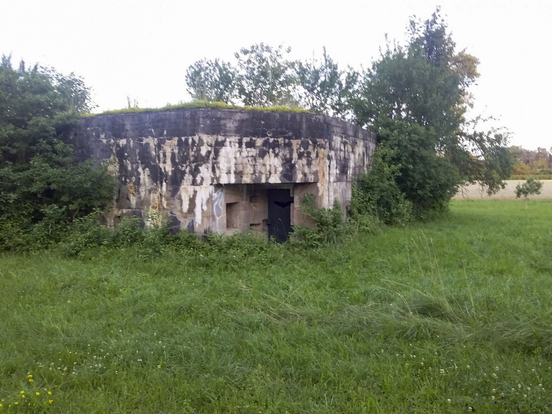 Ligne Maginot - MUEHLGIESSEN OUEST - (Casemate d'infanterie) - L'entrée - Joel Muntzinger
