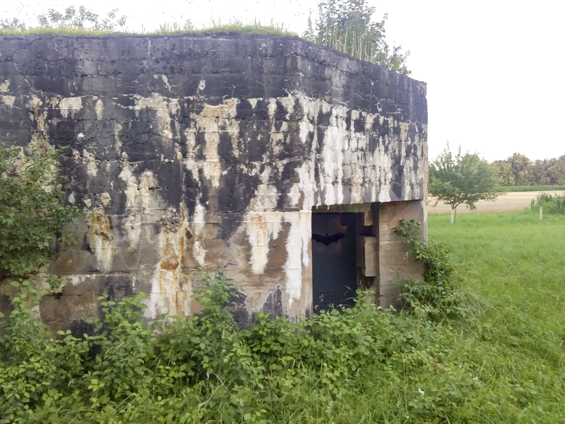 Ligne Maginot - MUEHLGIESSEN OUEST - (Casemate d'infanterie) - L'entrée - Joel Muntzinger