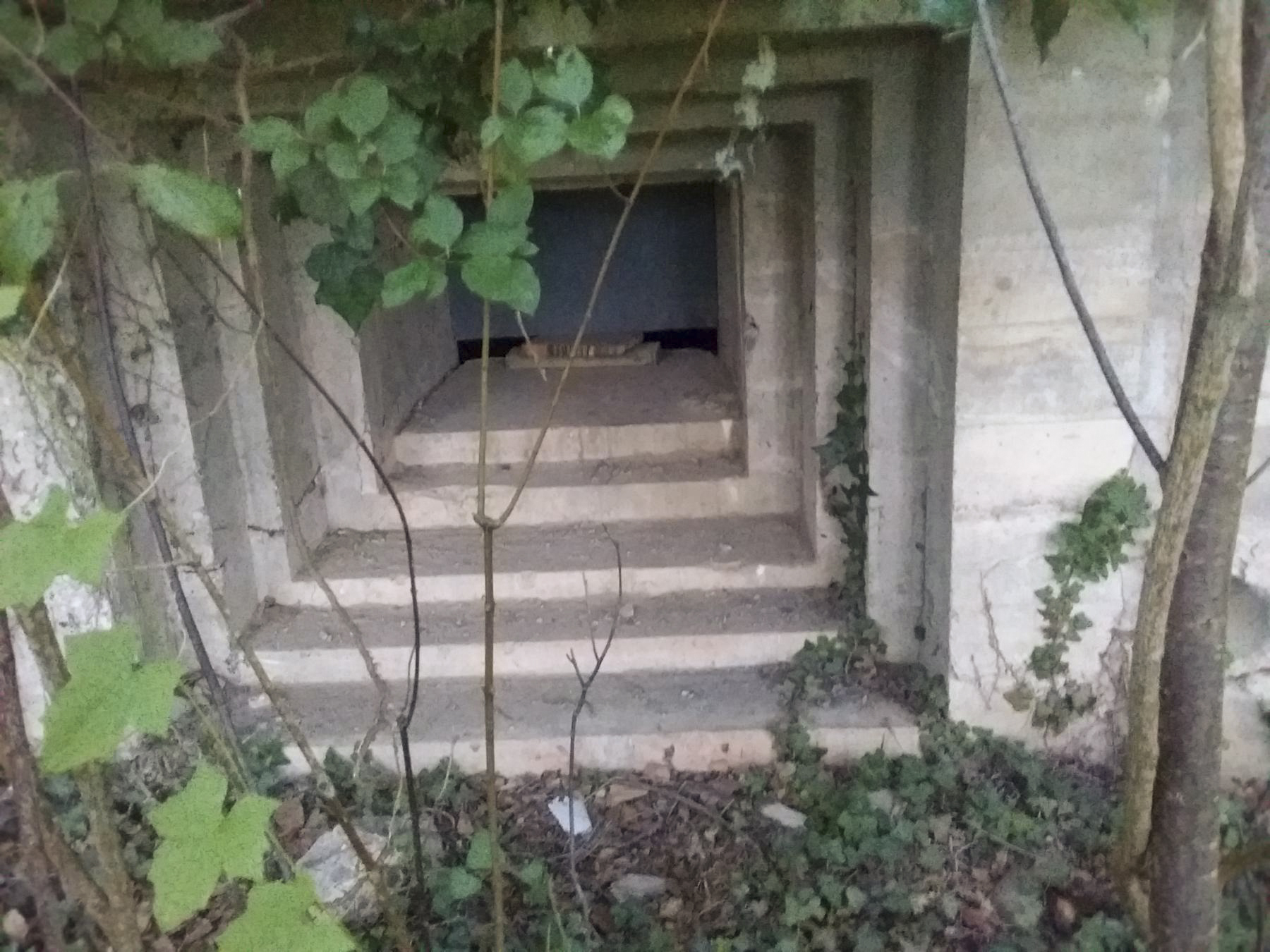 Ligne Maginot - MUEHLGIESSEN OUEST - (Casemate d'infanterie) -  - Joel Muntzinger