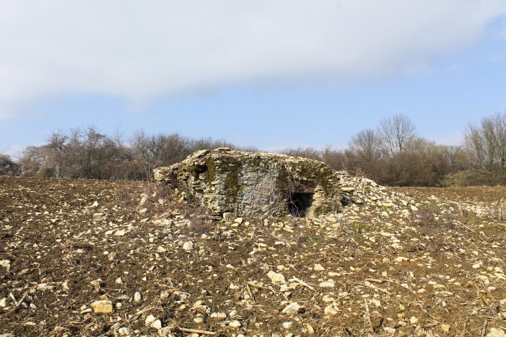 Ligne Maginot - SCHITTEFELD 3 - (Abri) - Vue générale - Christian LENHARD