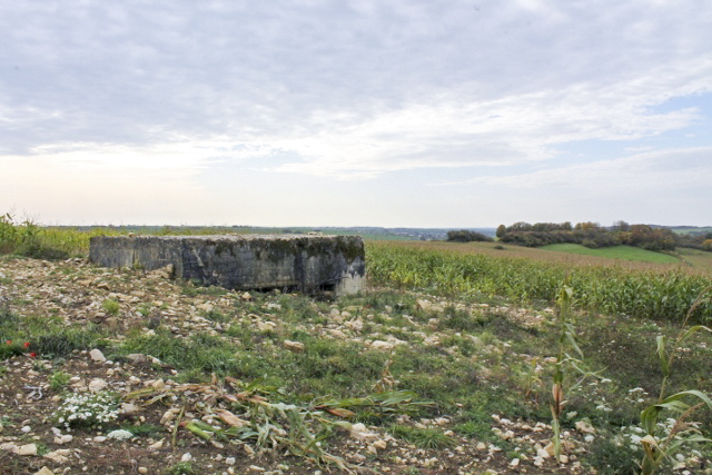 Ligne Maginot - SCHITTEFELD 5 - (Blockhaus pour canon) - Vue générale - Christian LENHARD