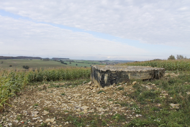 Ligne Maginot - SCHITTEFELD 5 - (Blockhaus pour canon) - Façade arrière - Christian LENHARD