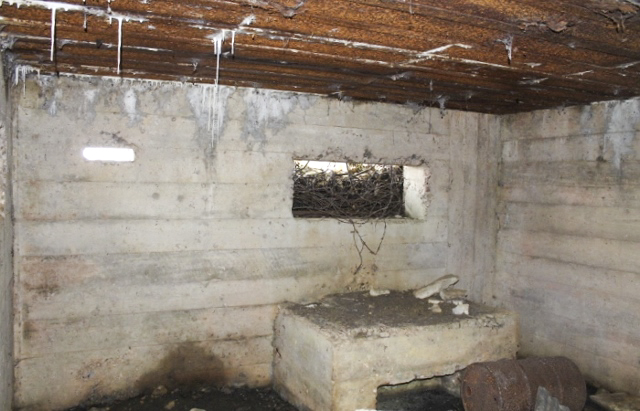 Ligne Maginot - SCHITTEFELD 5 - (Blockhaus pour canon) - Les créneaux
A gauche le créneau d'observation - Christian LENHARD