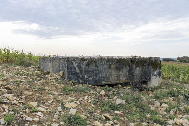 Ligne Maginot - SCHITTEFELD 5 - (Blockhaus pour canon) - Façade de tir - Christian LENHARD