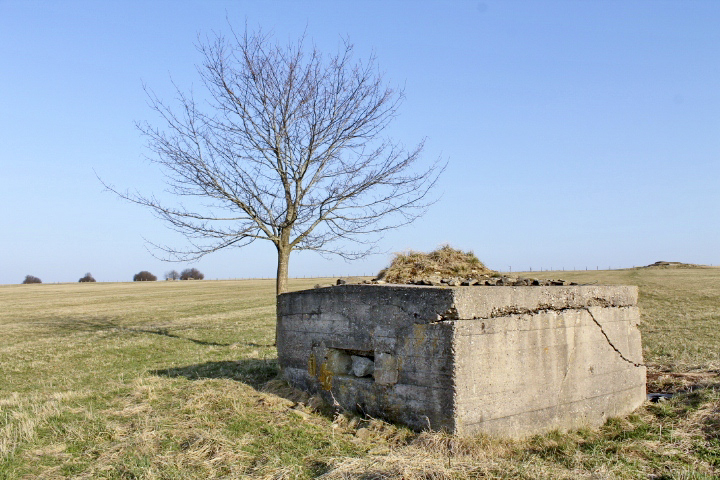 Ligne Maginot - STAND de TIR Est (Blockhaus pour arme infanterie) - Façade de tir
Au fond a gauche, une ligne de cinq blockhaus - Christian LENHARD