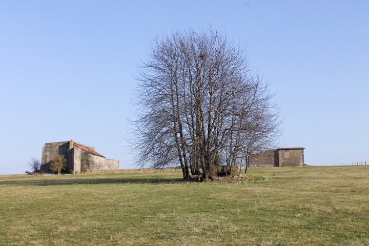 Ligne Maginot - STAND de TIR Ouest (Blockhaus pour arme infanterie) - Vue générale - Christian LENHARD