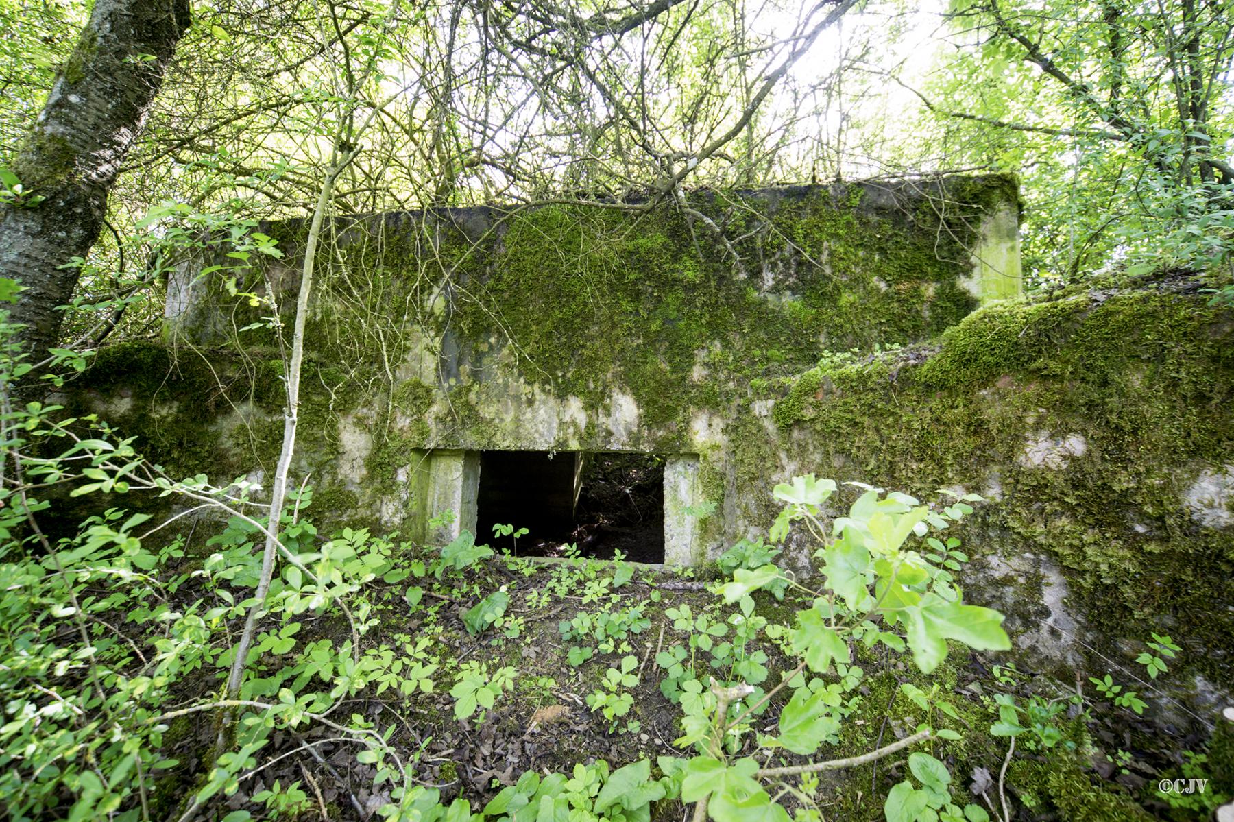 Ligne Maginot - STATION 1 - (Blockhaus pour canon) -  - Lia VERMEULEN