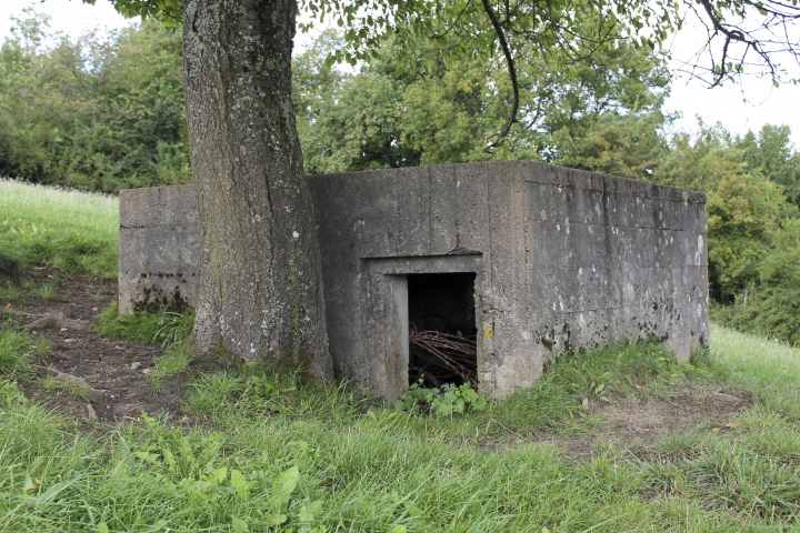 Ligne Maginot - STATION 2 - (Blockhaus pour arme infanterie) - L'entrée - Christian LENHARD