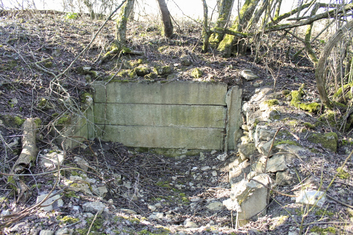 Ligne Maginot - STEINER DEL 1 - (Blockhaus pour arme infanterie) - Les restes du blockhaus - Christian LENHARD