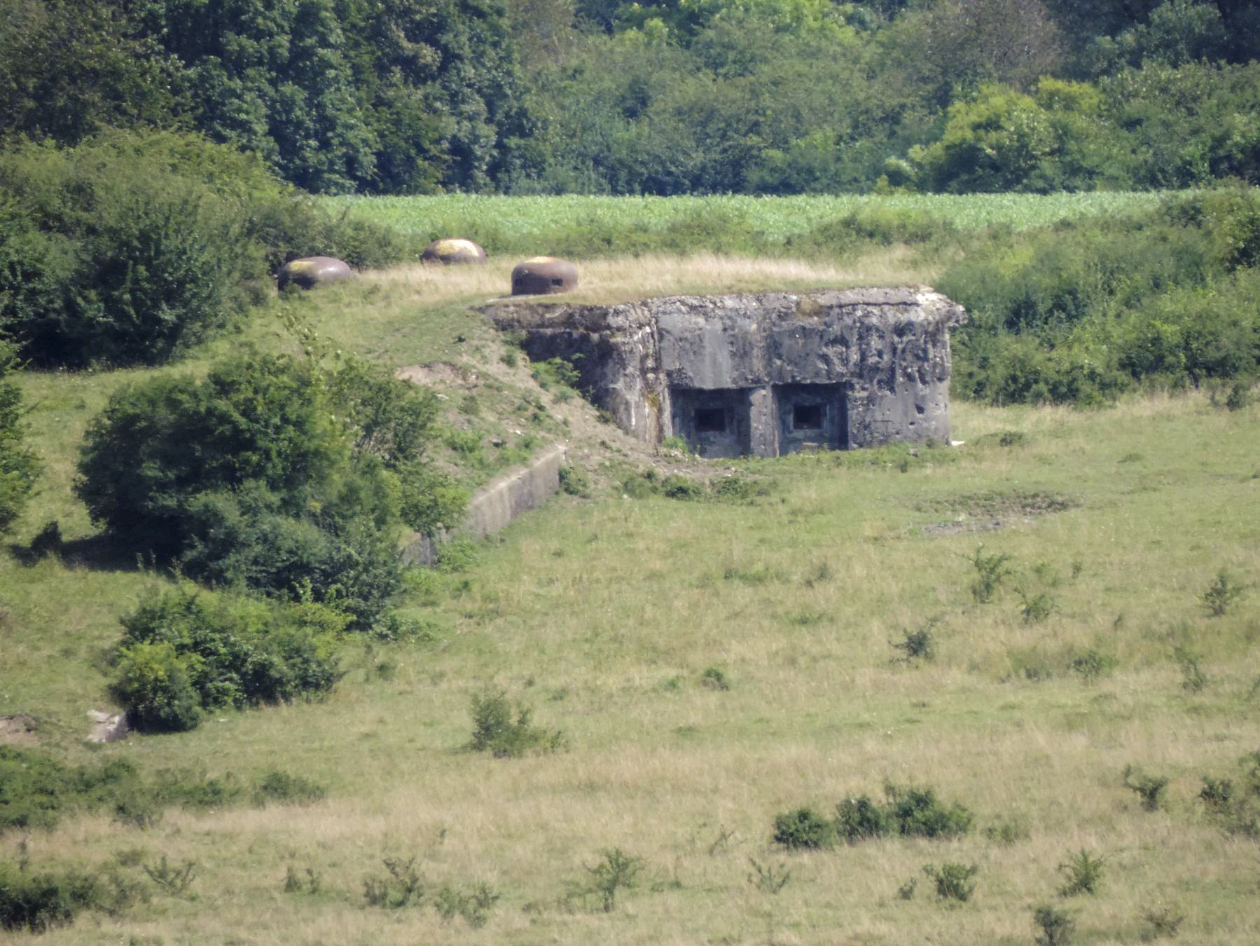 Ligne Maginot - STATION DE ROHRBACH - (Casemate d'infanterie) - Casemate de la Station Rohrbach vue depuis le PO de Rohrbach - Gilles LENHARD
