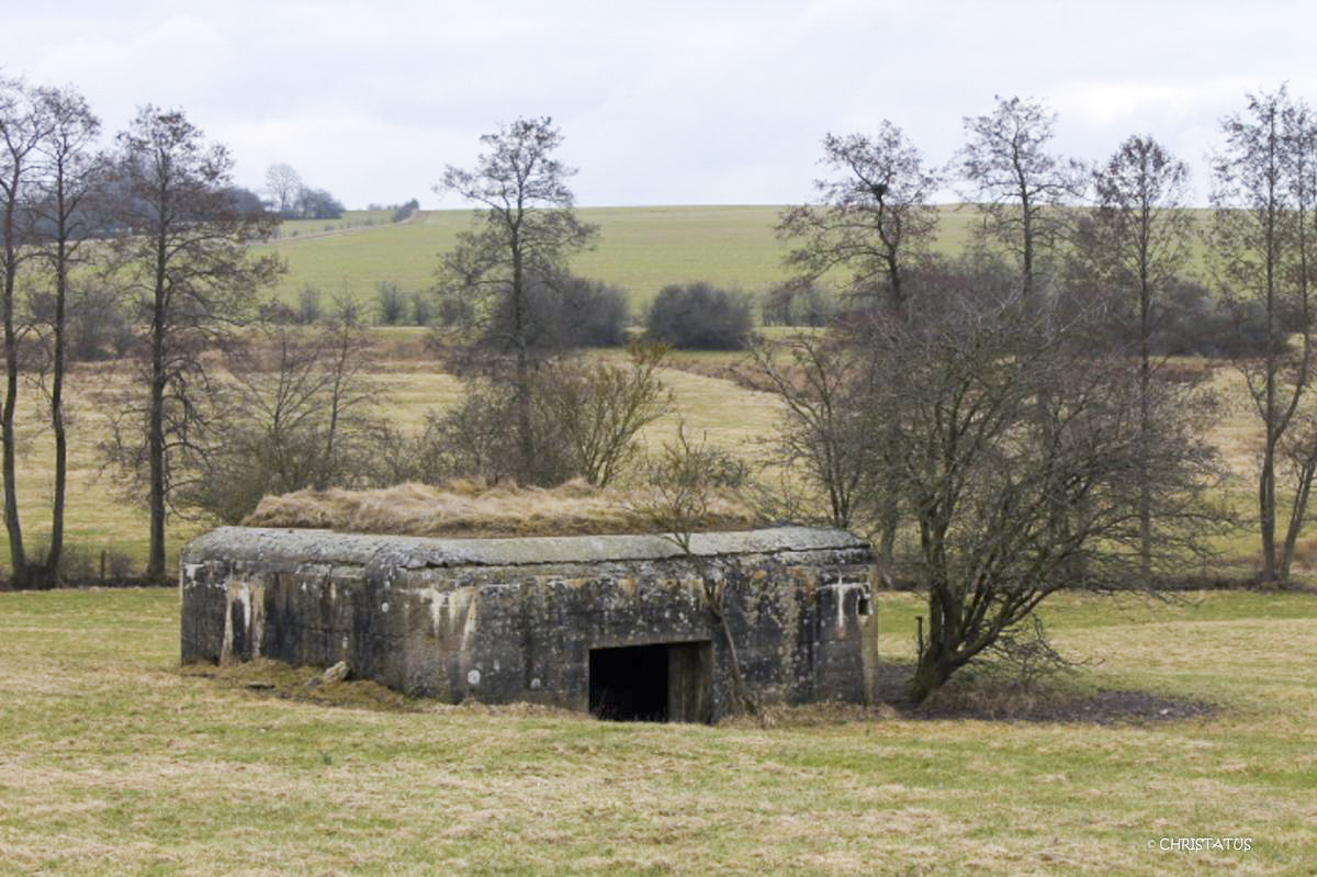 Ligne Maginot - VALLEE D'ALTKIRCHE - (Blockhaus pour canon) -  - Christian LENHARD