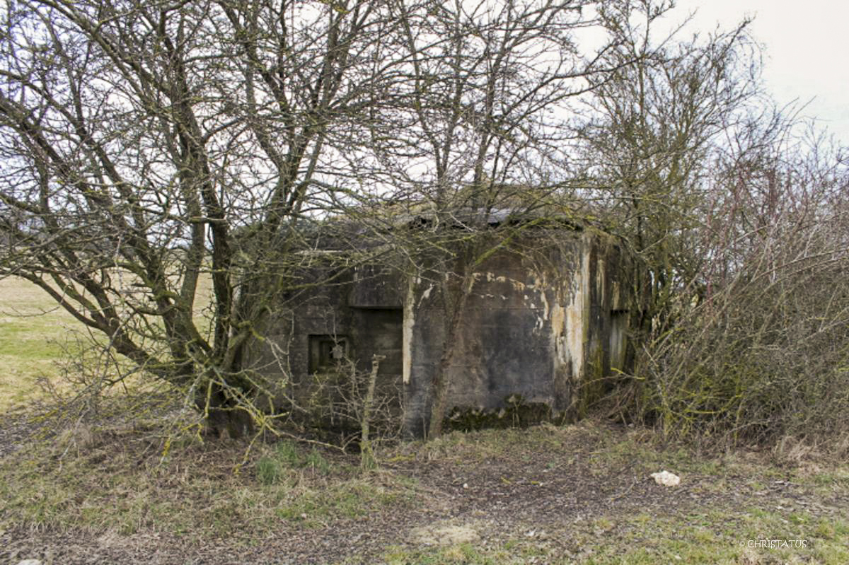 Ligne Maginot - VALLEE D'ALTKIRCHE - (Blockhaus pour canon) -  - Christian LENHARD