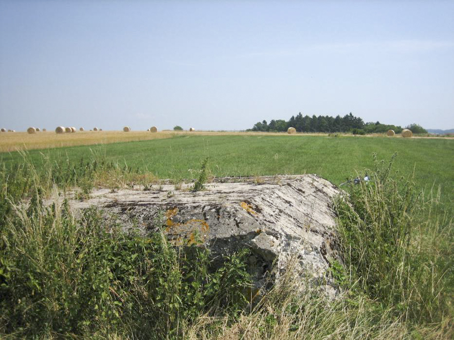 Ligne Maginot - WIESWEILLER WALD - (Blockhaus de type indéterminé) - La dalle de toiture. - RITTIE Arnaud