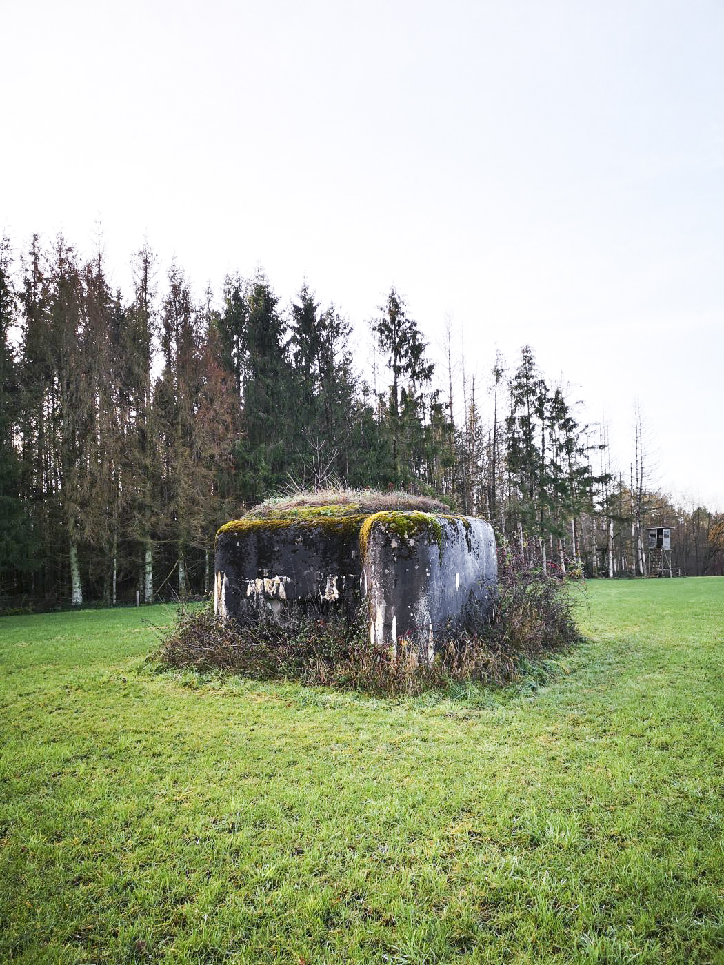 Ligne Maginot - WASENBERG 6 - (Blockhaus pour arme infanterie) - Vue générale - DK_Antoine4