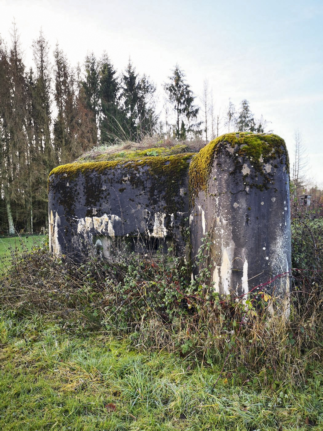 Ligne Maginot - WASENBERG 6 - (Blockhaus pour arme infanterie) - Vue sur le créneau pour mitrailleuse - DK_Antoine4