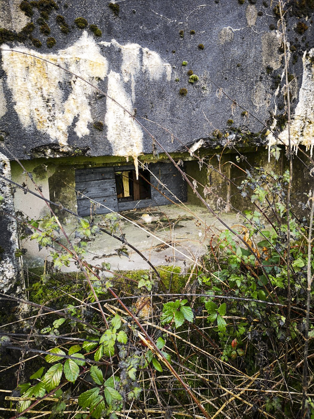 Ligne Maginot - WASENBERG 6 - (Blockhaus pour arme infanterie) - Vue sur le créneau pour mitrailleuse, retapé avec du bois - DK_Antoine4