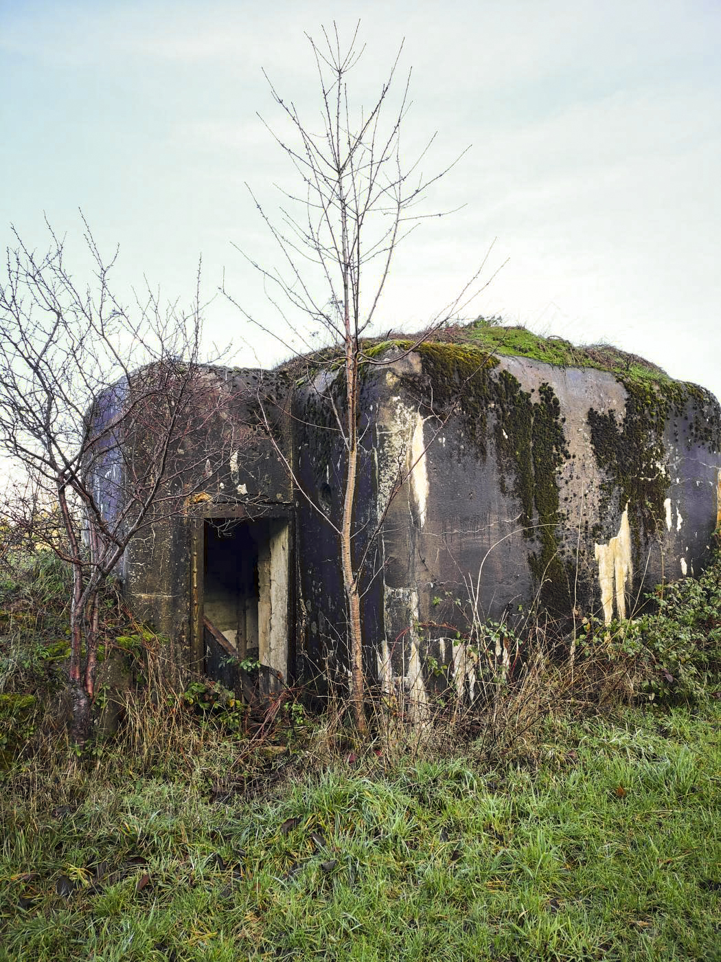 Ligne Maginot - WASENBERG 6 - (Blockhaus pour arme infanterie) - L'arrière du blockhaus et l'entrée - DK_Antoine4