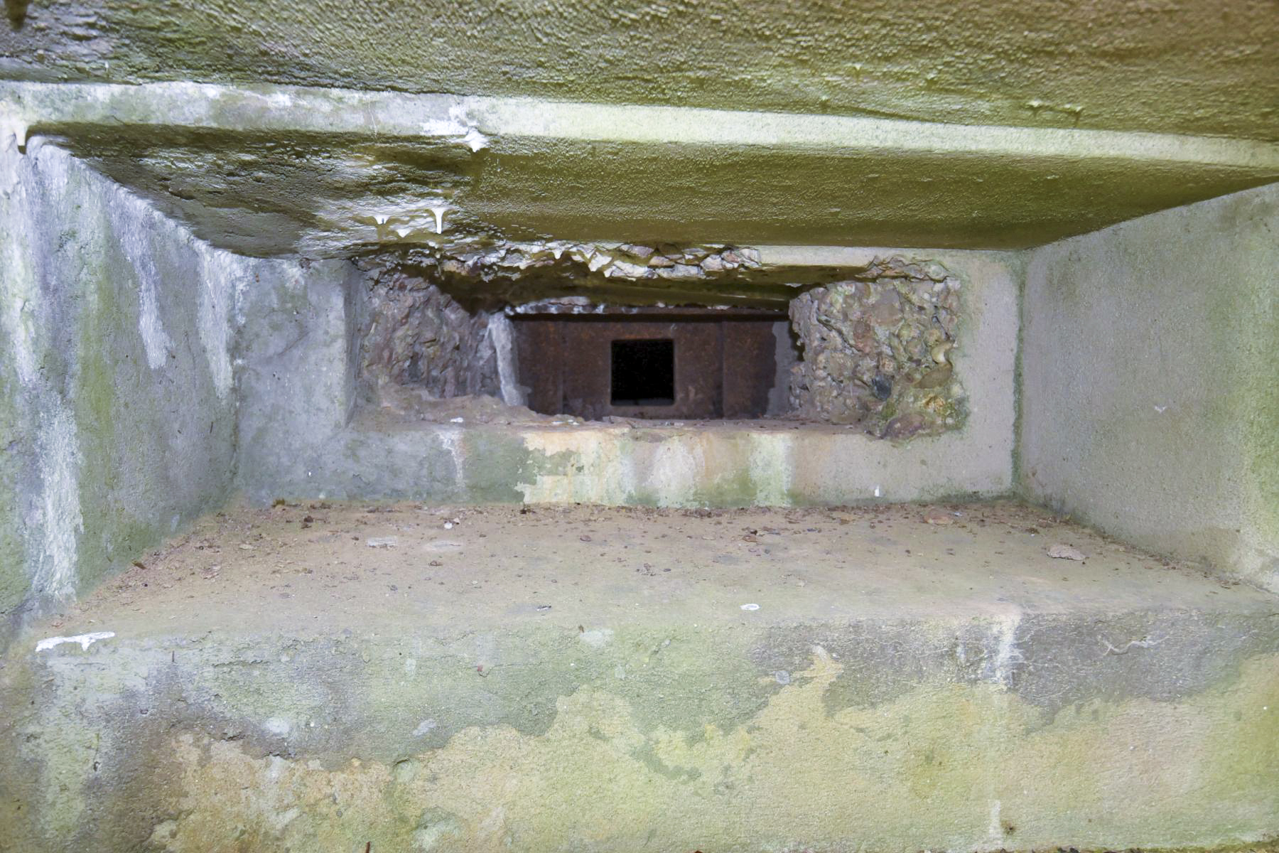 Ligne Maginot - WASENBERG 5 - (Blockhaus pour canon) -  - knapp ludovic