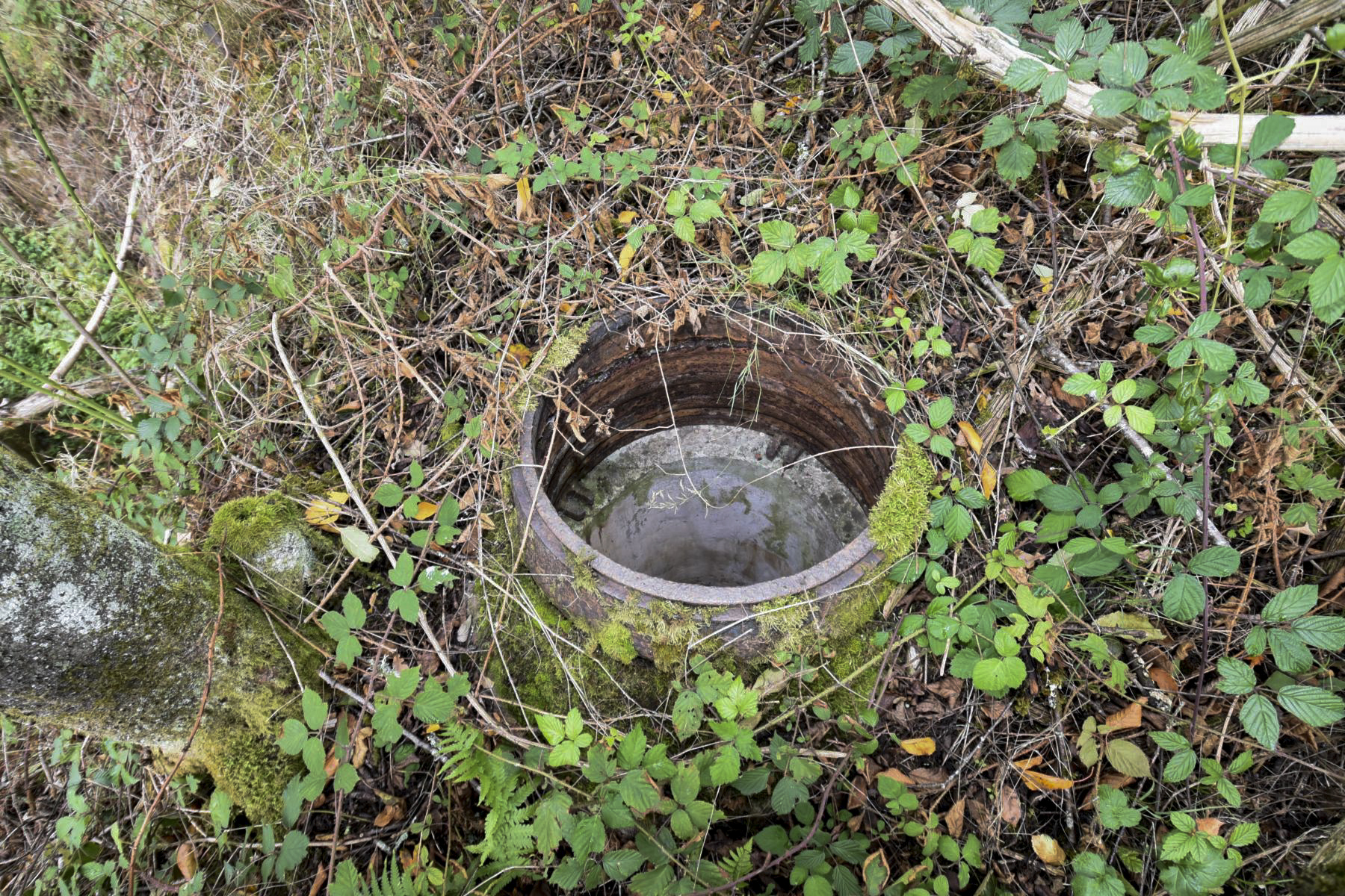 Ligne Maginot - WASENBERG 5 - (Blockhaus pour canon) -  - knapp ludovic