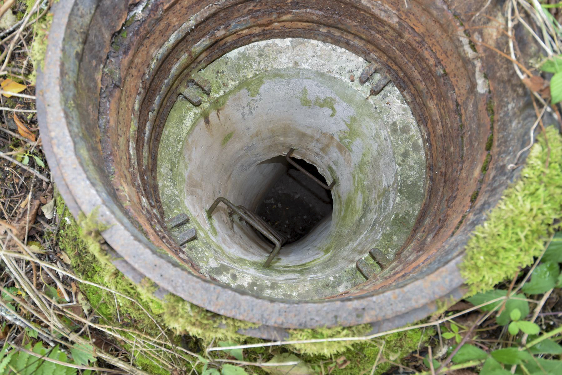 Ligne Maginot - WASENBERG 5 - (Blockhaus pour canon) -  - knapp ludovic
