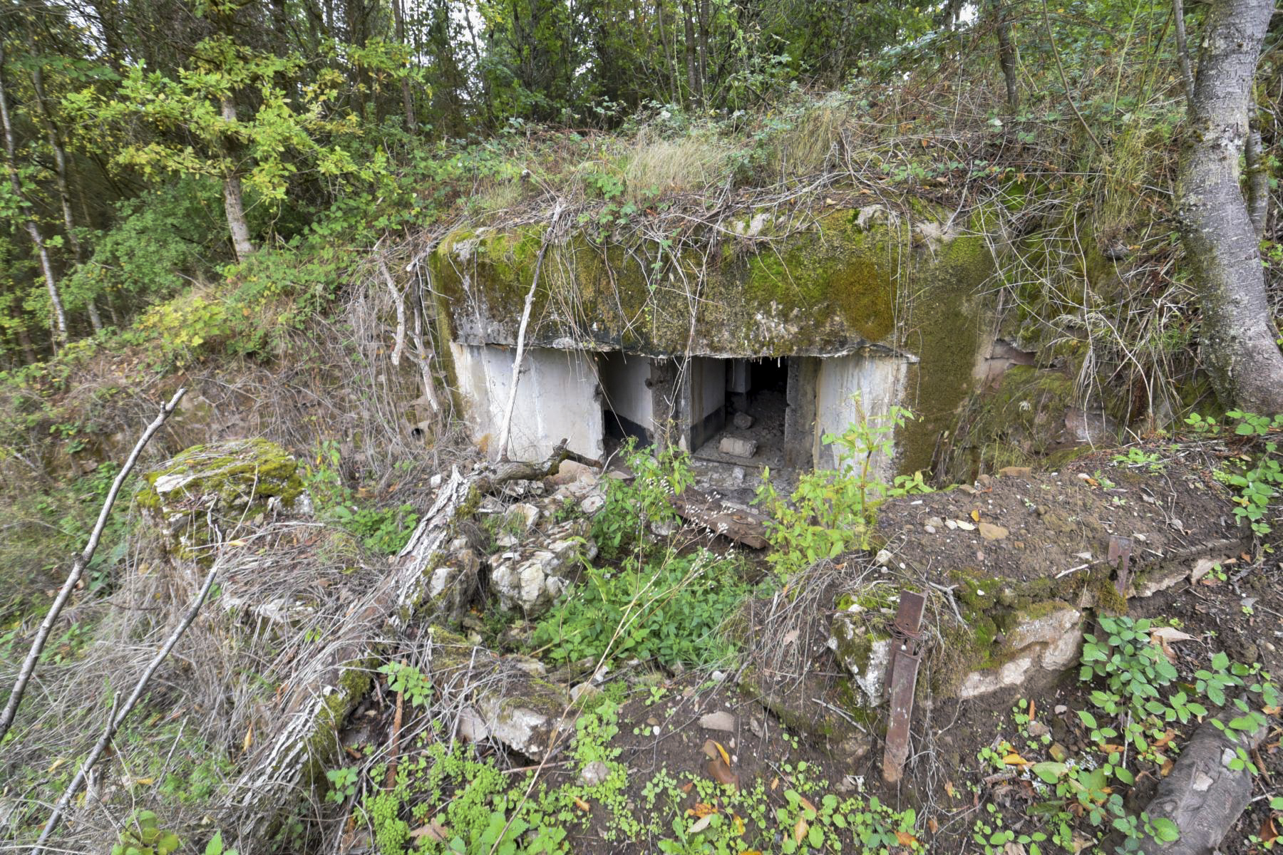 Ligne Maginot - WASENBERG 5 - (Blockhaus pour canon) -  - knapp ludovic