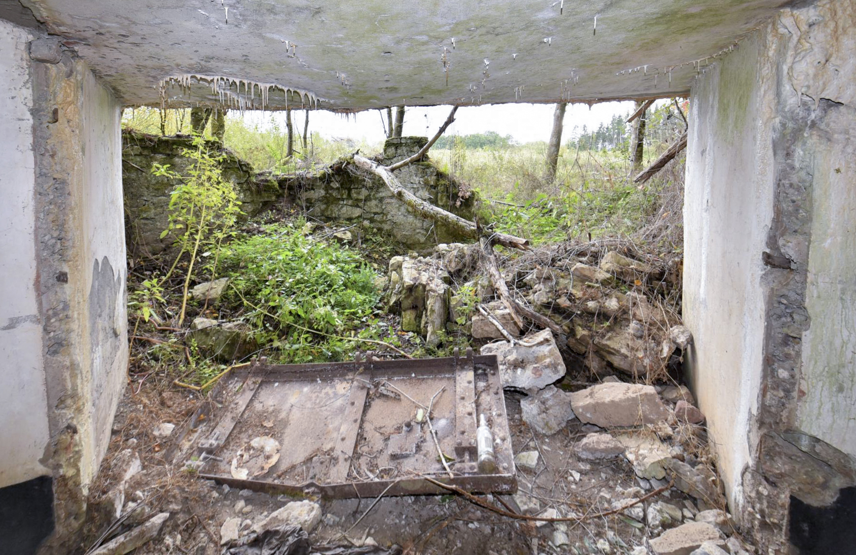 Ligne Maginot - WASENBERG 5 - (Blockhaus pour canon) -  - knapp ludovic