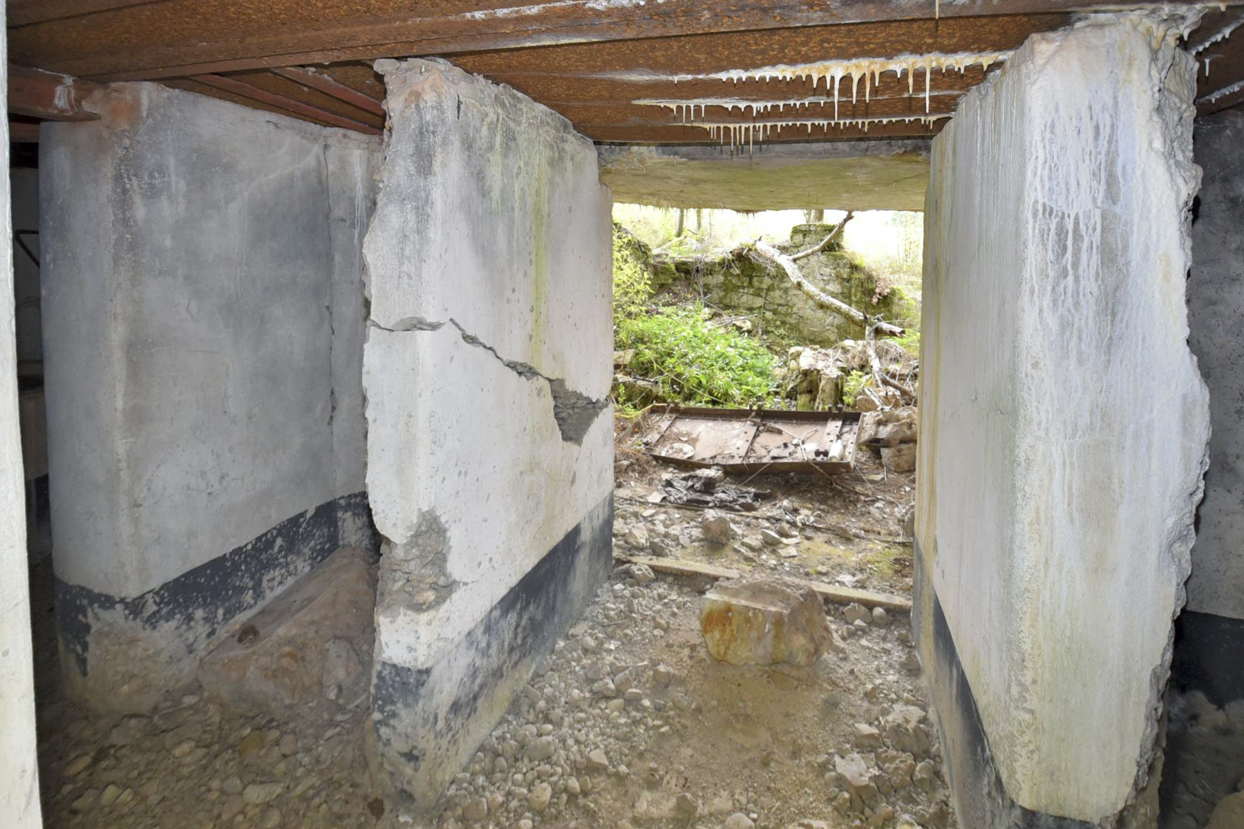 Ligne Maginot - WASENBERG 5 - (Blockhaus pour canon) -  - knapp ludovic