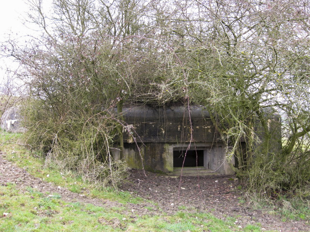 Ligne Maginot - WOLFSREDGEN CENTRE - (Blockhaus pour canon) -  - Christian LENHARD